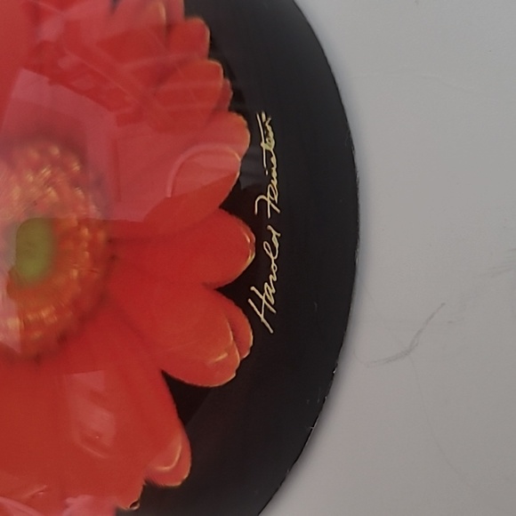 Harold Feinstein Mo Dome Paperweight - Picture 4 of 5